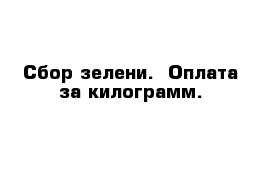 Сбор зелени.  Оплата за килограмм.